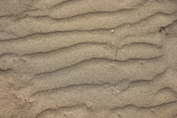 Texture of sand leveled by the wind #11 — Stock Photo, Image