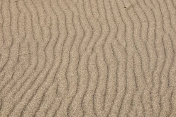 Textura de areia nivelada pelo vento # 10 — Fotografia de Stock