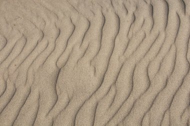 Rüzgar #7 tarafından tesviye kum dokusu