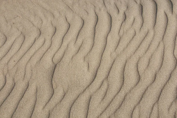 Texture of sand leveled by the wind #7 — Stock Photo, Image