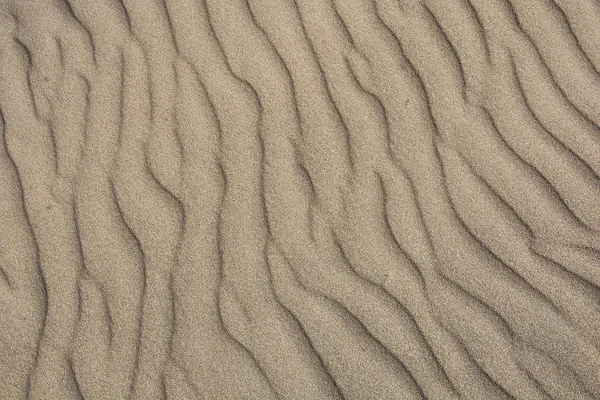 Texture of sand leveled by the wind #6 — Stock Photo, Image