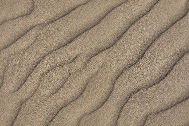 Rüzgâr tarafından düzleştirilmiş kum dokusu # 4