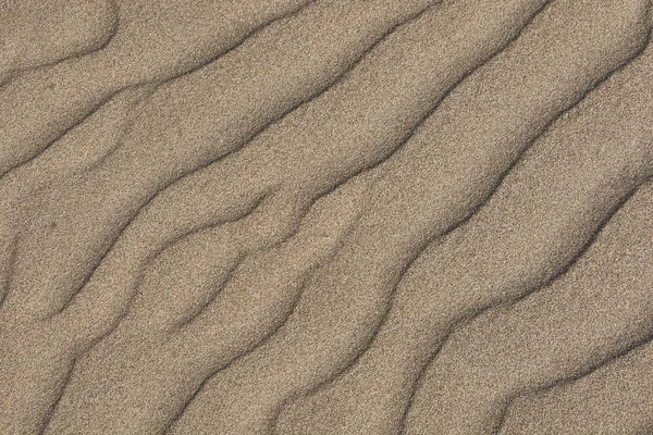 Textur des vom Wind eingeebneten Sandes # 4 — Stockfoto
