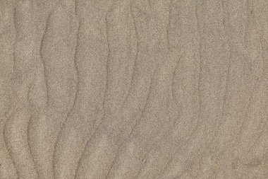 Rüzgar tarafından tesviye kum dokusu