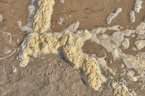 Mousse jaune de pollution sur la plage # 4 — Photo