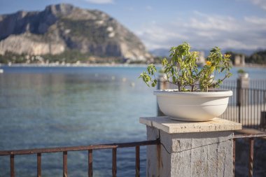 Deniz Manzaralı Teras