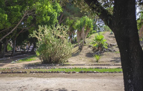 Parque de Villa Giulia en Palermo # 3 — Foto de Stock