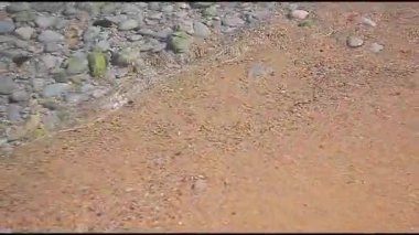 Sicilya 'nın dalgalı saydam denizi