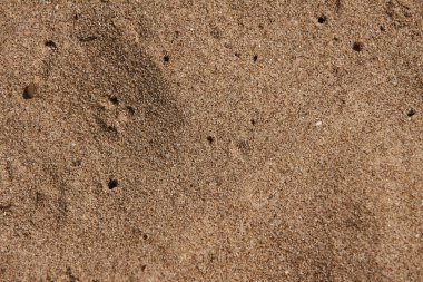 Akdeniz Kum Dokusu 2