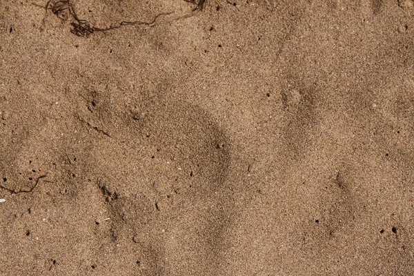 Mediterranenan Sand Texture 4 — Stock Photo, Image