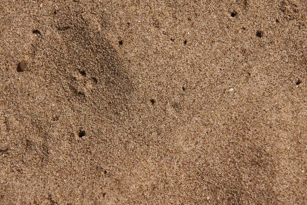 Mediterranenan Sand Texture 2 — Stock Photo, Image