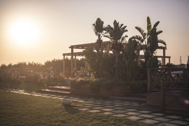 Gün batımında yaz bahçesi 2