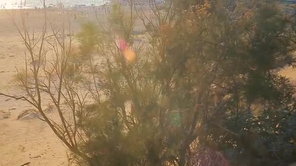 Gommage méditerranéen dans le sud de la Sicile 