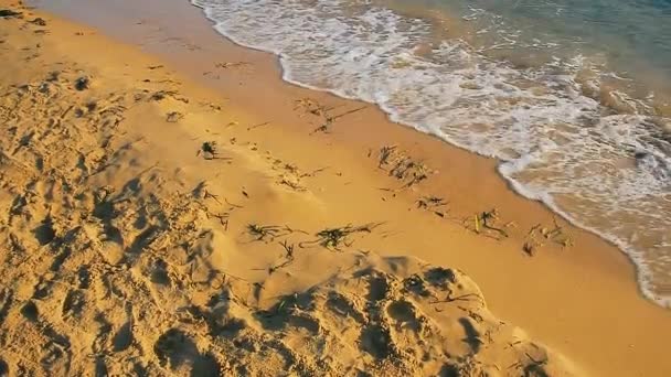 Litoral Praia Modica Verão — Vídeo de Stock
