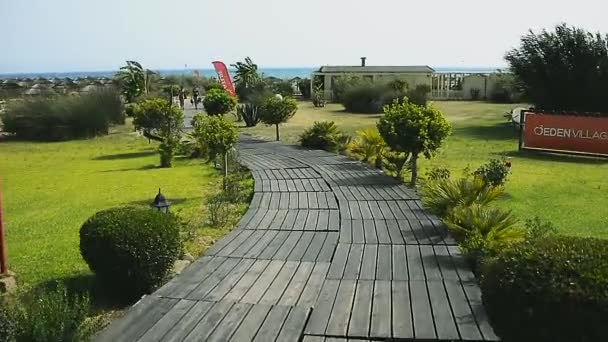 Camino Jardín Vegetación Vith Verano — Vídeo de stock