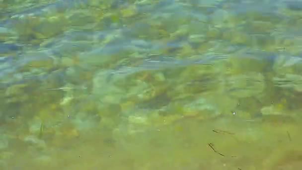 Камни Водой Средиземном Море — стоковое видео