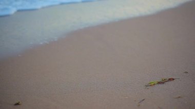 Sicilya 'da deniz dalgaları ile kıyı şeridi