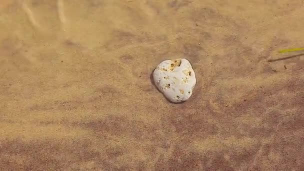Gün Batımında Kıyıda Çakıl Taşlarının Dokusu — Stok video