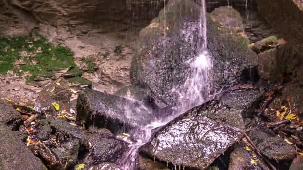 Niño Acostado Bosque Inmerso Naturaleza — Vídeos de Stock