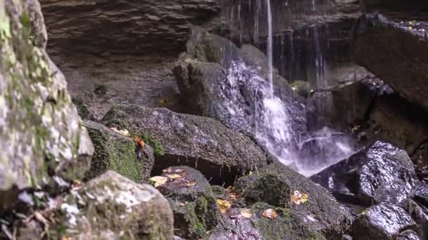 Menino Deitado Floresta Imerso Natureza — Vídeo de Stock