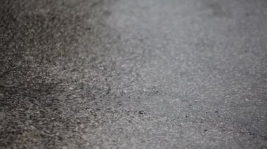 Asfalttaki yağmur damlaları