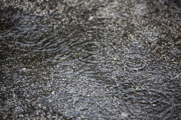 Texture Asphalt Falling Rain Drops Detail — Stock Photo, Image