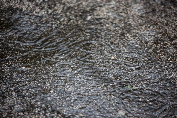 Texture Asphalt Falling Rain Drops Detail — Stock Photo, Image