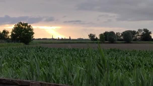 Italienska landsbygden i Villanova del Ghebbo — Stockvideo