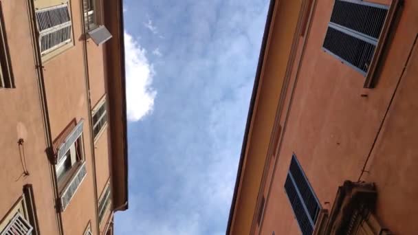 Bologna Allee mit Menschen 2 — Stockvideo