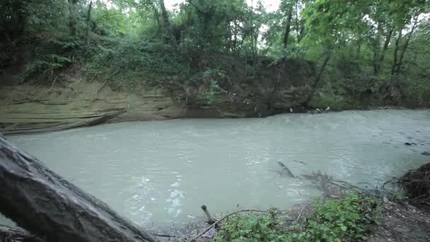 Río en la naturaleza 2 — Vídeos de Stock