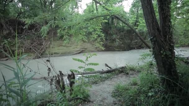 Río en la naturaleza — Vídeos de Stock