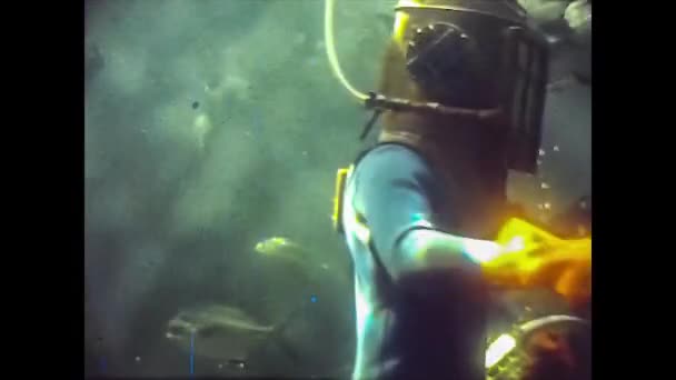 MIAMI 1980: Acquario con tartaruga — Video Stock