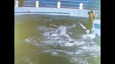 MIAMI 1980: Katil balina gösterisi 3