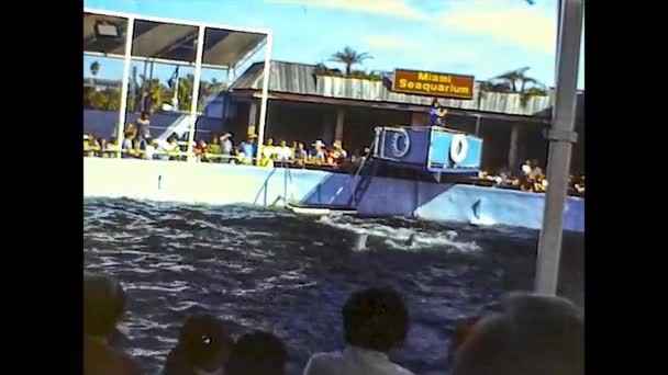 MIAMI 1980: Dolphinarium show 9 — Video Stock
