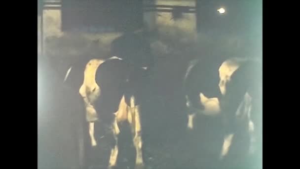 ヴィラノワ・デル・ゲブボ（英語版）1975年イタリア:イタリアの農場1975年4月 — ストック動画