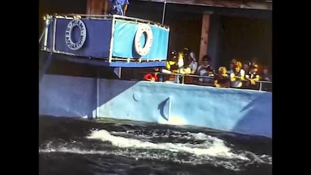 MIAMI 1980: Dolphinarium show 3 — Αρχείο Βίντεο