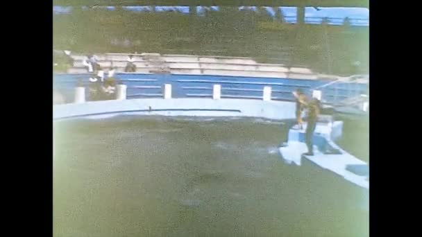 MIAMI 1980:キラークジラショー8 — ストック動画