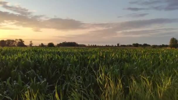 Vackra lantliga landskap i Italien 5 — Stockvideo