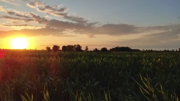 Beau paysage de campagne en Italie 4 — Video