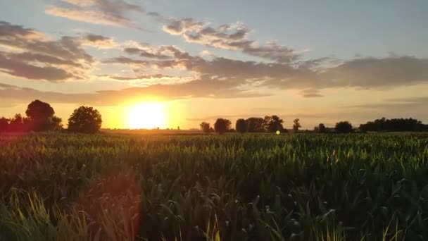 Schöne Landschaft in Italien 6 — Stockvideo