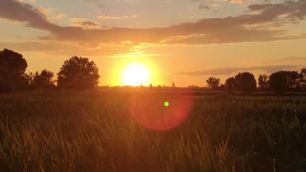 Hermoso paisaje rural en Italia 7 — Vídeo de stock