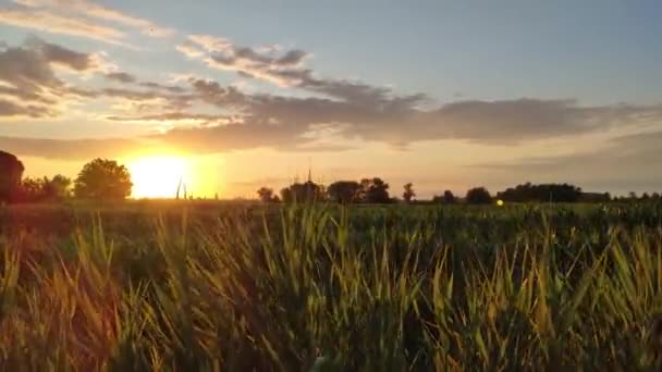 Hermoso paisaje rural en Italia 3 — Vídeo de stock