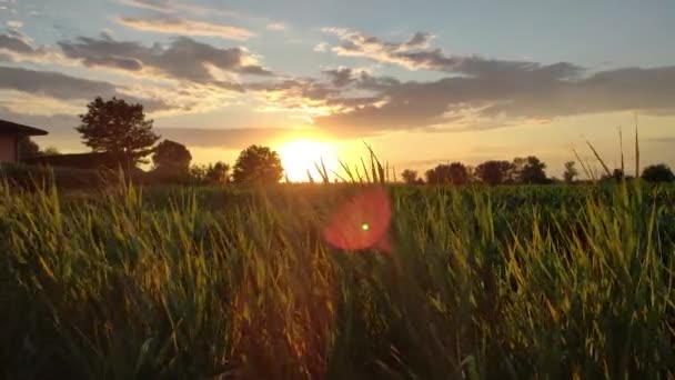 Vackra lantliga landskap i Italien — Stockvideo