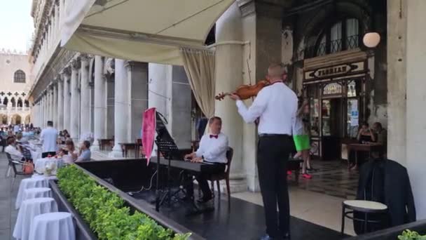 ヴェネツィアの音楽家サン・マルコ広場3 — ストック動画