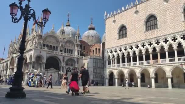 Venedik 'teki Saint Mark Meydanı — Stok video