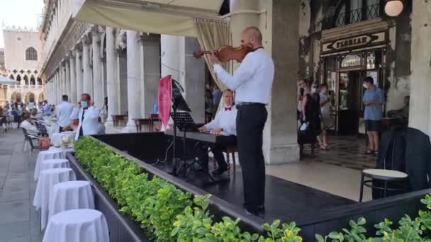 Músico en Venecia en la Plaza San Marco 2 — Vídeo de stock