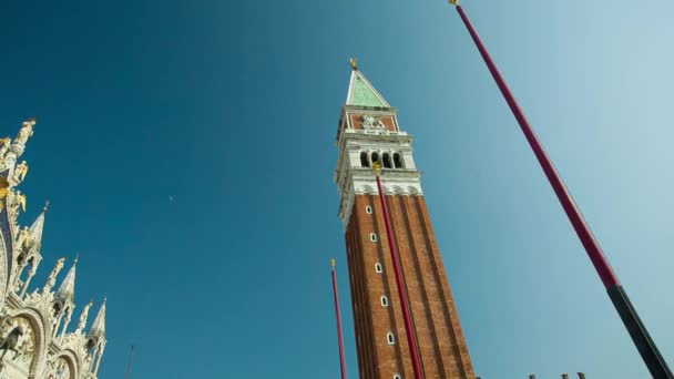 Catedral de San Marcos en Venecia y campanario — Vídeo de stock