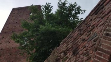 İtalya 'nın Rovigo kentindeki Antik Kuleler 9.