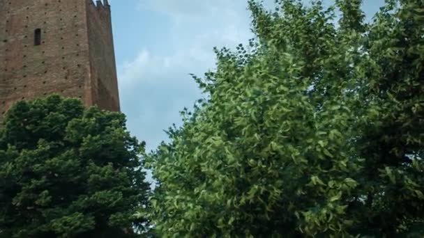 Ancient Towers in Rovigo in Italy — Stock Video