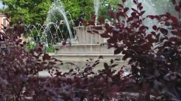 Fontana in piazza Umberto Merlino a Rovigo 3 — Video Stock